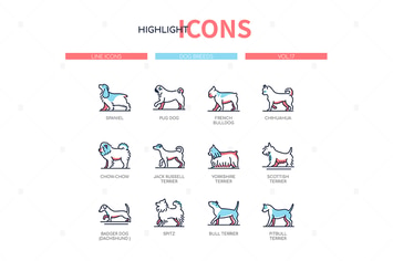 Dog breeds - modern line design style icons set