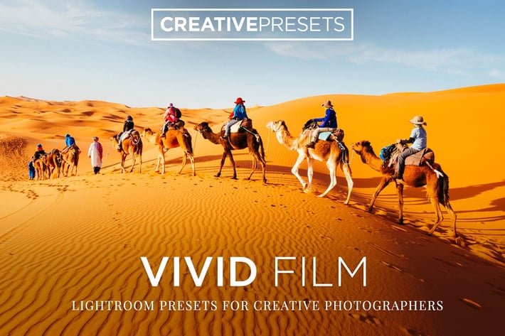 Vivid Color Lightroom presets