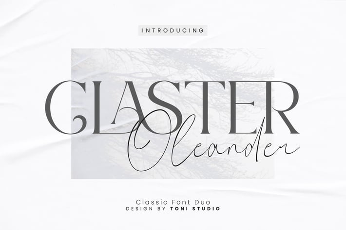 Claster Oleander Font Duo