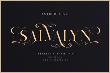 Salvalyn - Stylistic Serif Font