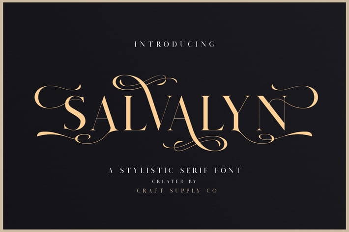 Salvalyn - Stylistic Serif Font