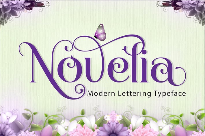 Novelia Typeface