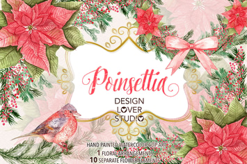 Watercolor "Poinsettia" design