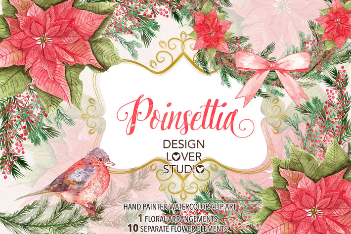 Watercolor "Poinsettia" design