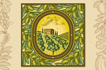 Olive Harvest Design