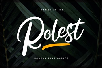 Rolest | Modern Bold Script Font