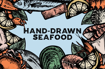 Hand Drawn Seafood
