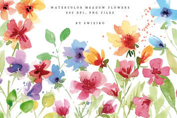 Watercolor Meadow Flowers