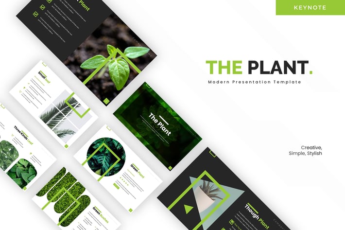 Plant - Keynote Template