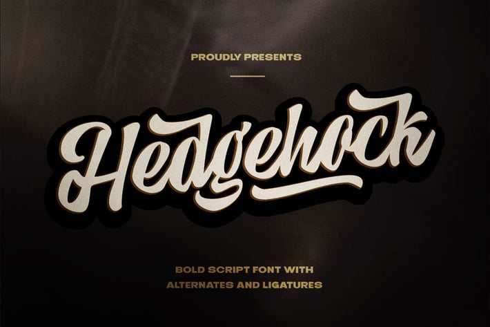 Hedgehock - Bold Script Logo Font