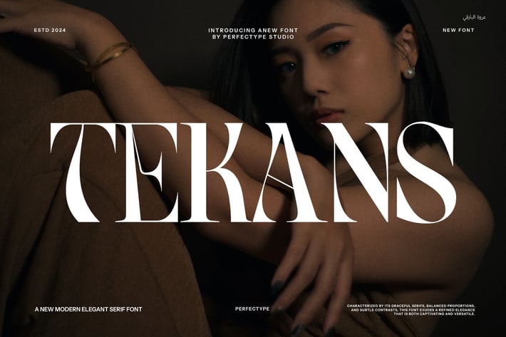 Tekans Elegant Serif Font