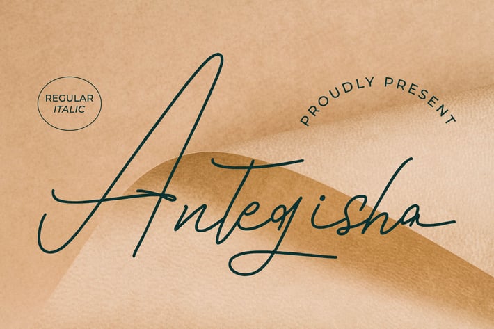 Antegisha Monoline Script Font
