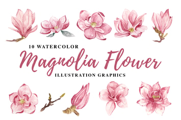 10 Watercolor Magnolia Flower Illustration Graphic