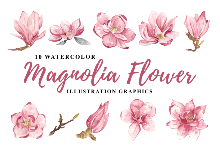 10 Watercolor Magnolia Flower Illustration Graphic