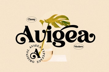 Avigea Modern Serif Font