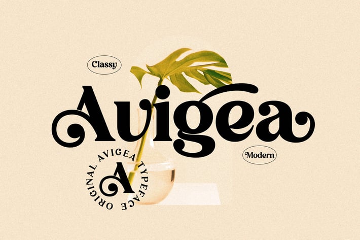Avigea Modern Serif Font