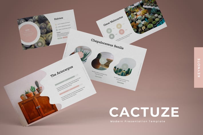 Cactuze - Keynote Template