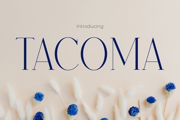 Tacoma - Elegance Modern Font