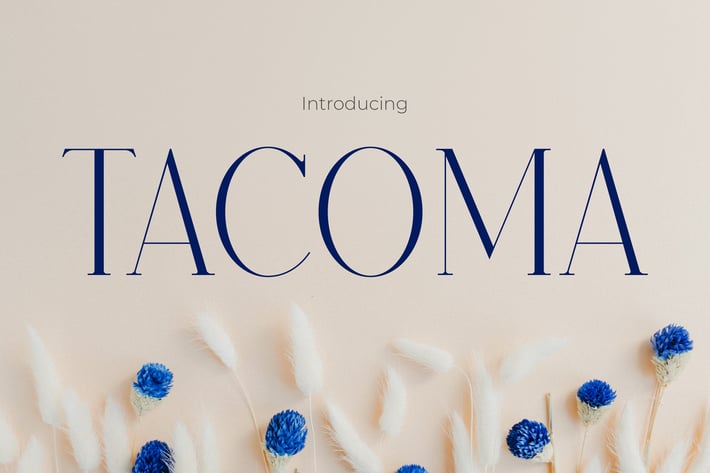 Tacoma - Elegance Modern Font