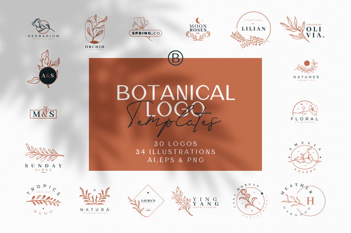 Hand Drawn Botanical Logos and Illustrations