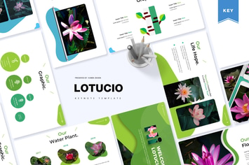 Lotucio | Keynote Template