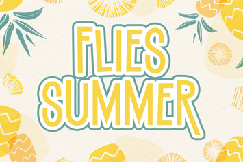 FLIES SUMMER