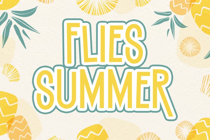 FLIES SUMMER