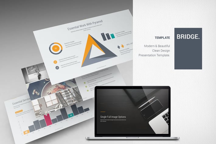 Bridge Business Template