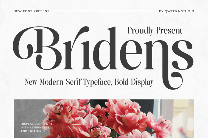 Bridens - Modern Serif Display