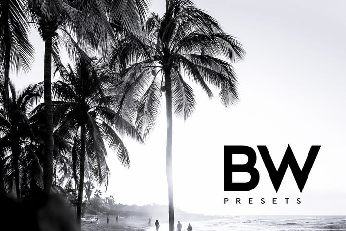 ARTA B&W Presets For Mobile and Desktop