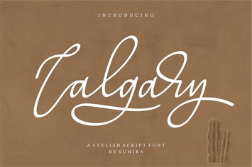 Calgary | A Stylish Script Font