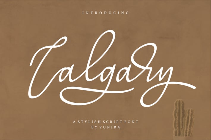 Calgary | A Stylish Script Font