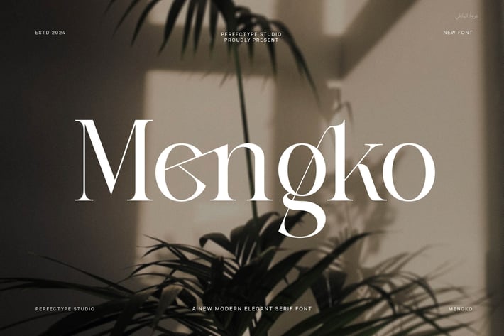 Mengko Elegant Ligature  Serif Font
