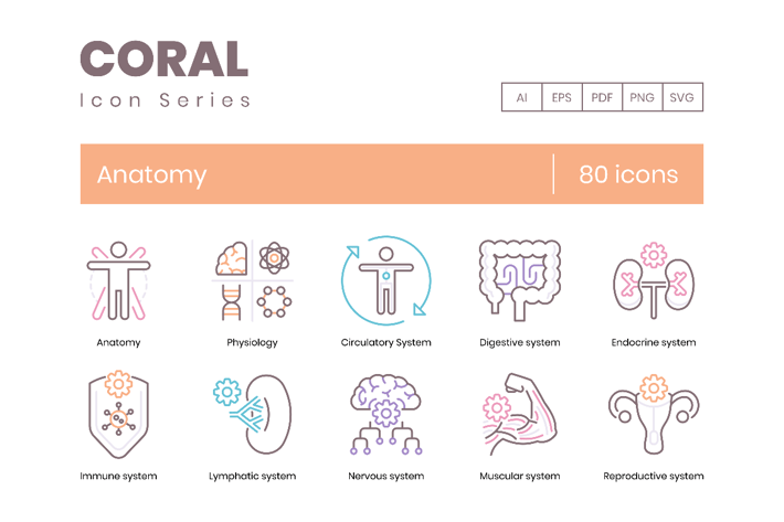 80 Anatomy & Medical Profession Line Icons 