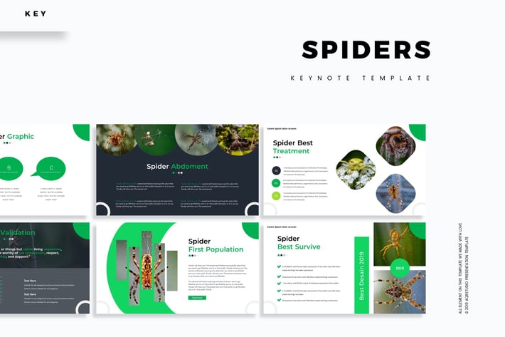 Spiders  - Keynote Template