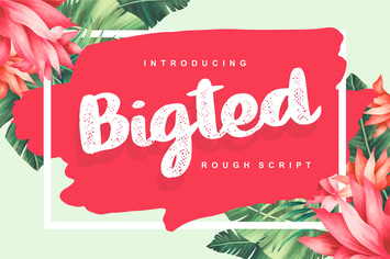 Bigted | Rough Script Font