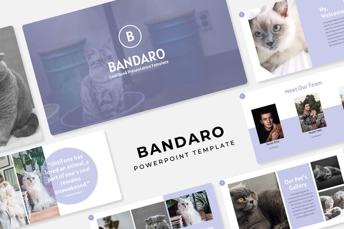 Bandaro - PowerPoint Template