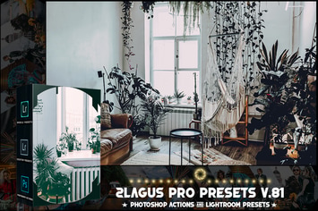  PRO Presets - V 81 - Photoshop & Lightroom