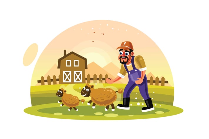 Farmer Breeding Sheep Wool Farm