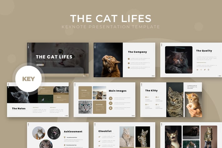 The Cat Lifes - Keynote Template