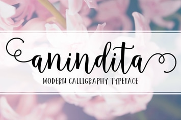 Anindita Script