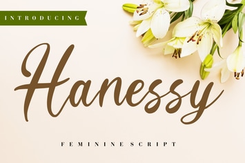 Hanessy Business Font