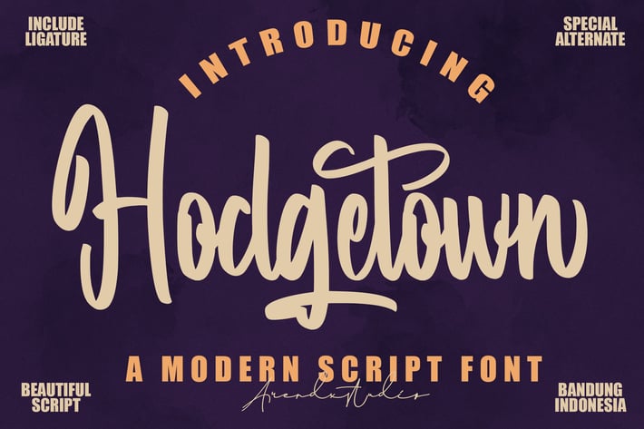 Hodgetown - Modern Script Font