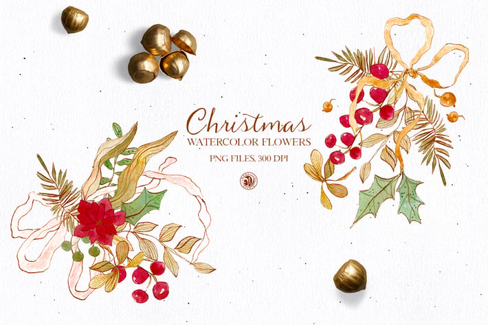 Christmas flowers - watercolor clipart