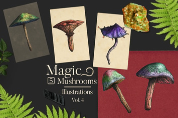 Magic Mushrooms Illustrations 4