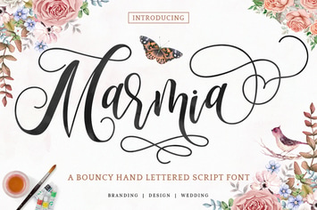 Marmia - Modern Script Font