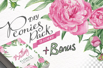 Watercolor Peonies DIY Pack +bonus
