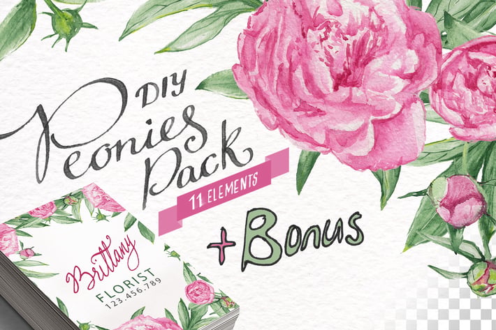 Watercolor Peonies DIY Pack +bonus