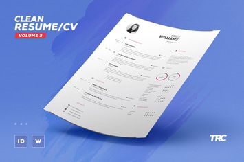 Clean Resume/Cv Volume 2