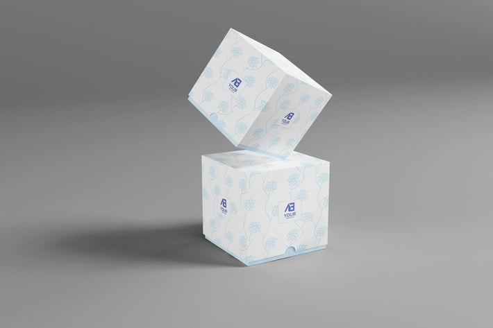 Packaging Mock-ups 45